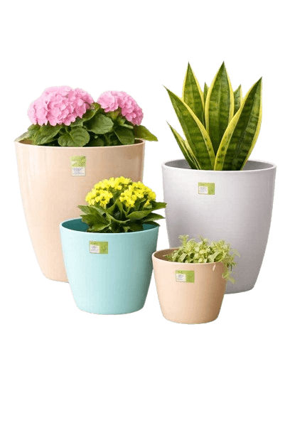 Bloom Planter