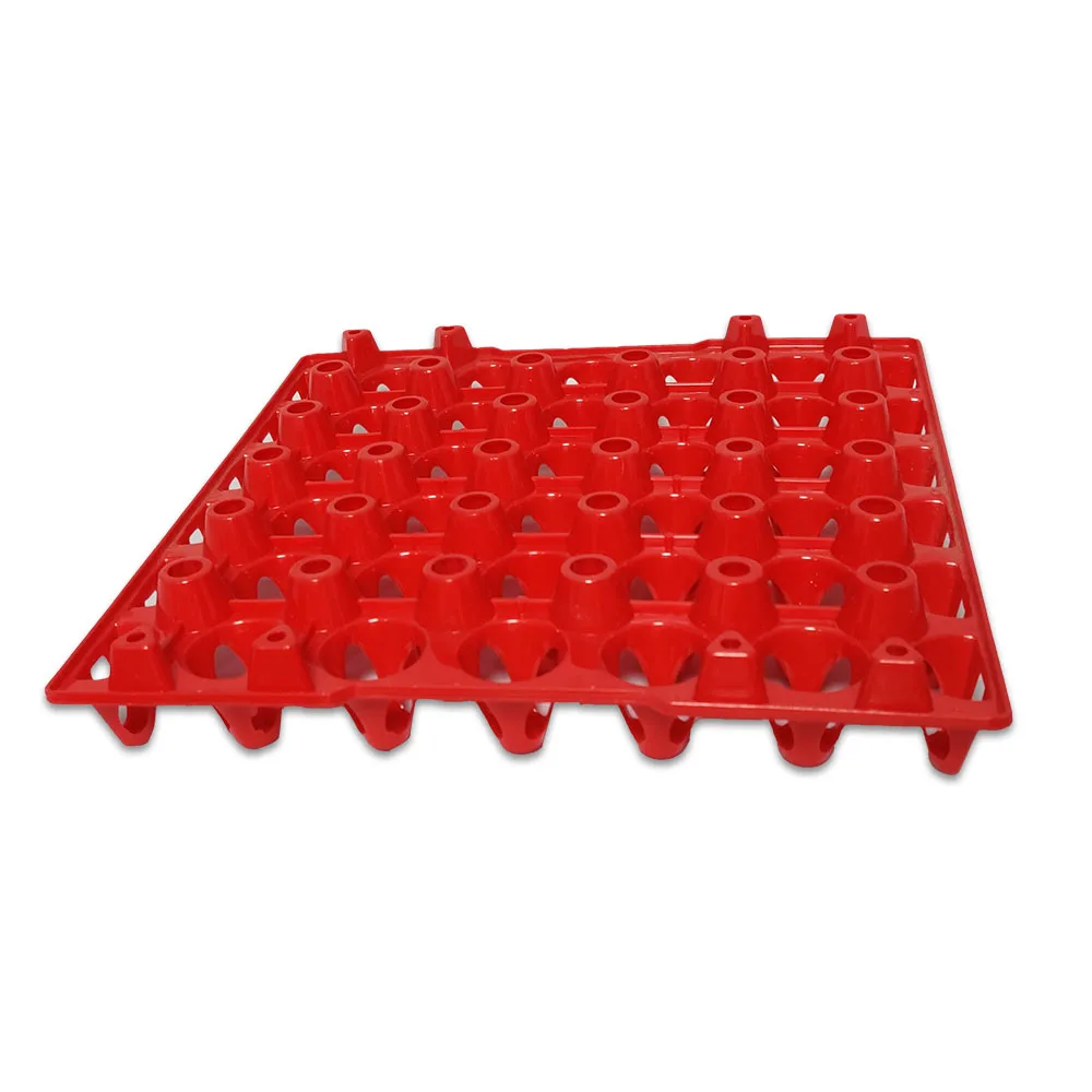 Egg Tray